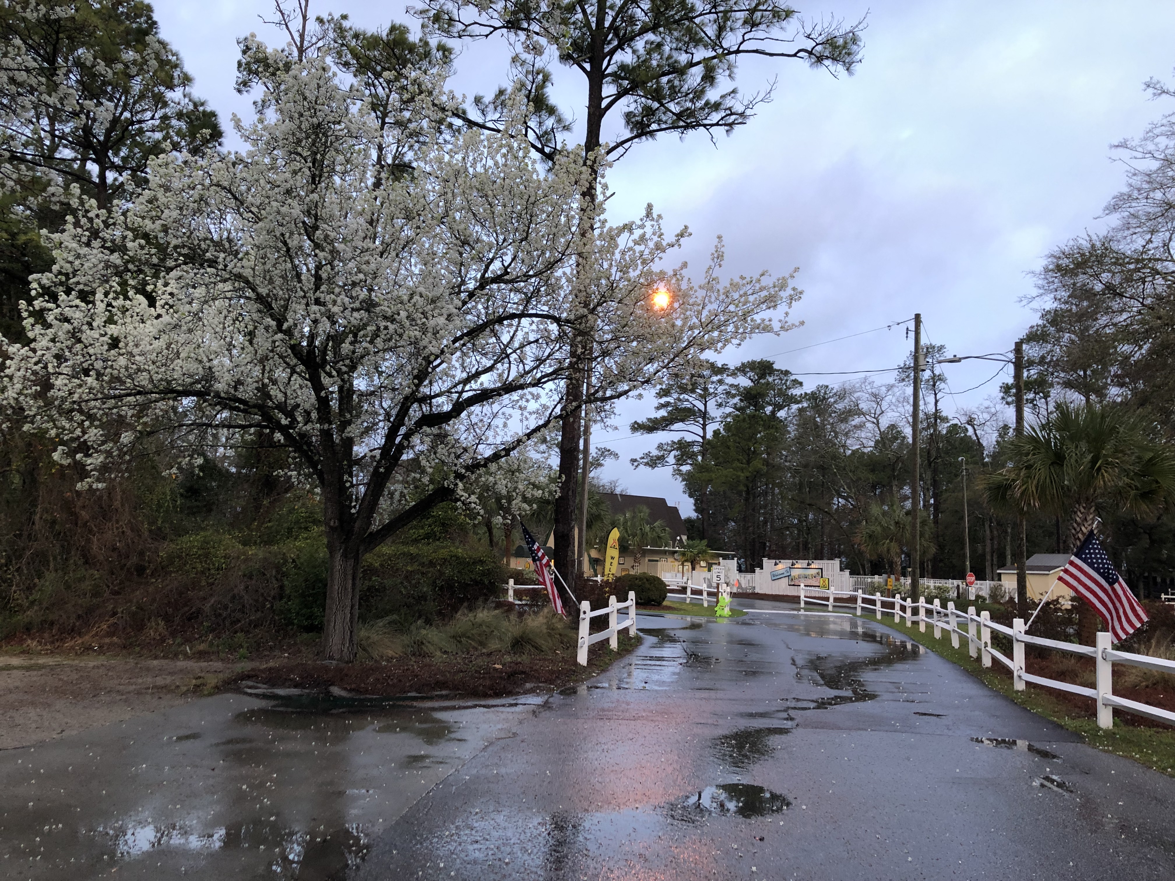 ./2022/01 - Wilmington/IMG_5384.JPG